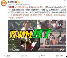 枫丹爆料视频大全最新消息